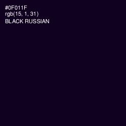 #0F011F - Black Russian Color Image